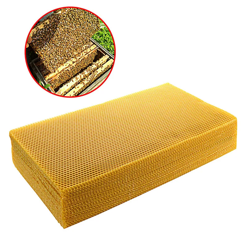 Beehive Frame Wax - แผ่นรังผึ้งขี้ผึ้ง 30 ชิ้น/แพ็ค ขนาด 415*200 มม.