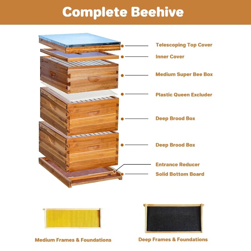 ชุดรังผึ้งสำเร็จรูป 10 เฟรม พร - Beehive Frame Wax บทวิจารณ์และราคา
