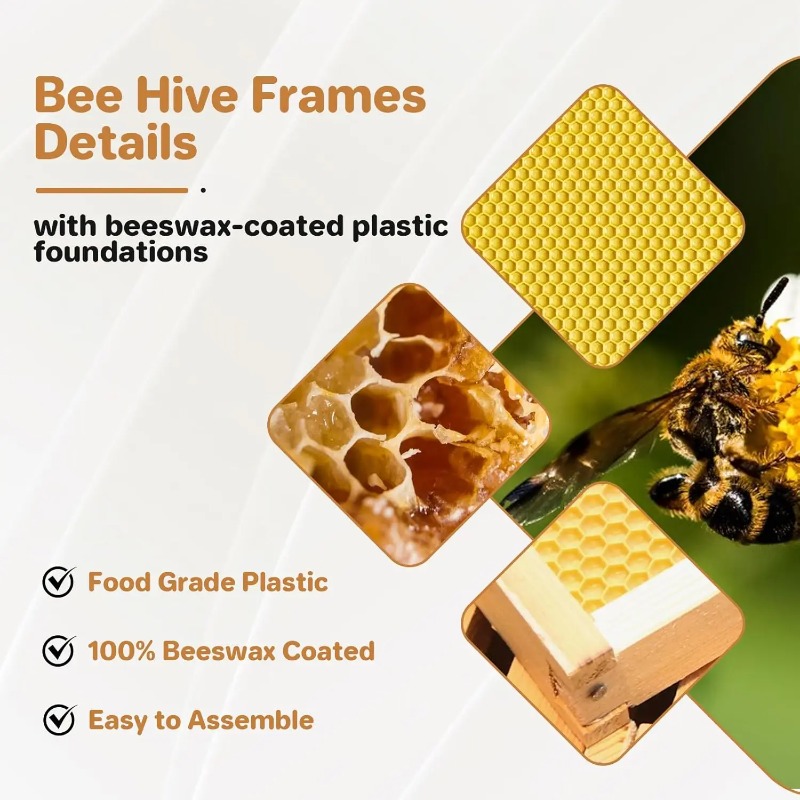ชุดรังผึ้งสำเร็จรูป 10 เฟรม พร - Beehive Frame Wax บทวิจารณ์และราคา