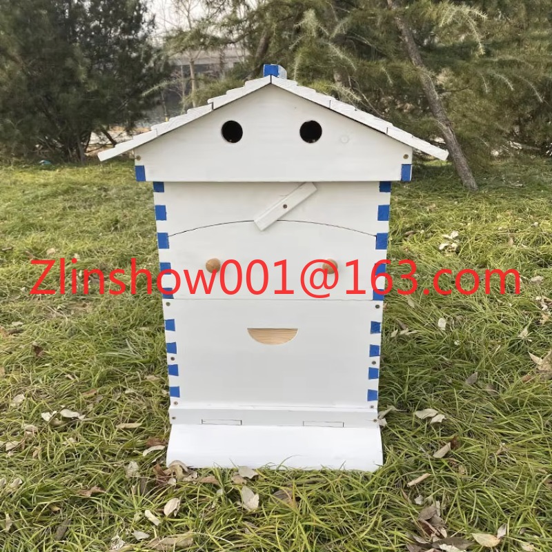 รังผึ้งอัตโนมัติราคาโรงงาน & 7 - Beehive Frame Wax บทวิจารณ์และราคา
