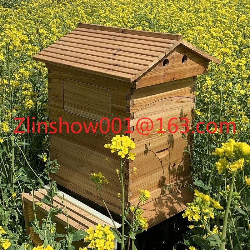 รังผึ้งอัตโนมัติราคาโรงงาน & 7 - Beehive Frame Wax บทวิจารณ์และราคา