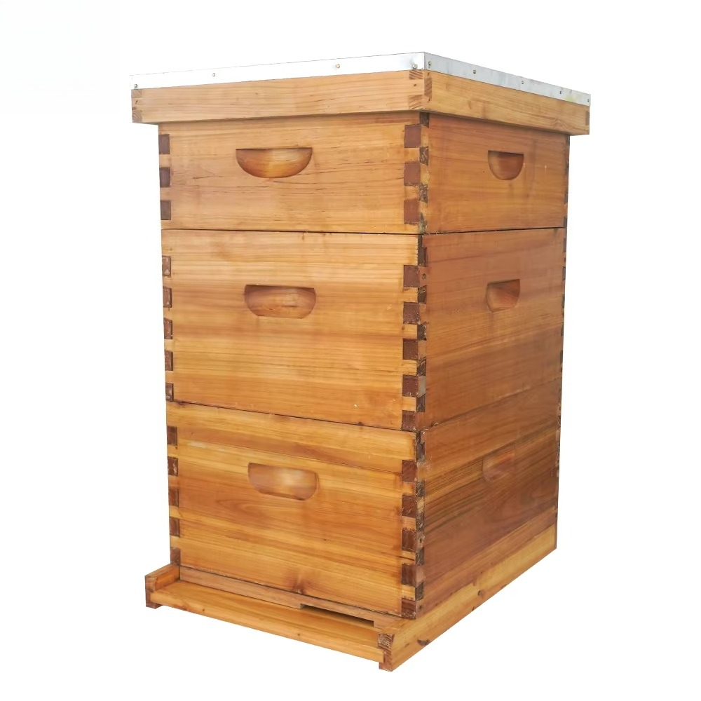 รังผึ้งแบบ Langstroth 3 ชั้น ช - Beehive Frame Wax บทวิจารณ์และราคา
