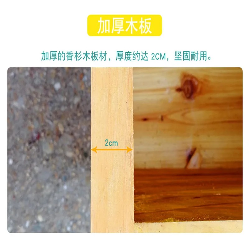 รังผึ้งในกล่องผึ้ง ชุดเต็มของข - Beehive Frame Wax บทวิจารณ์และราคา