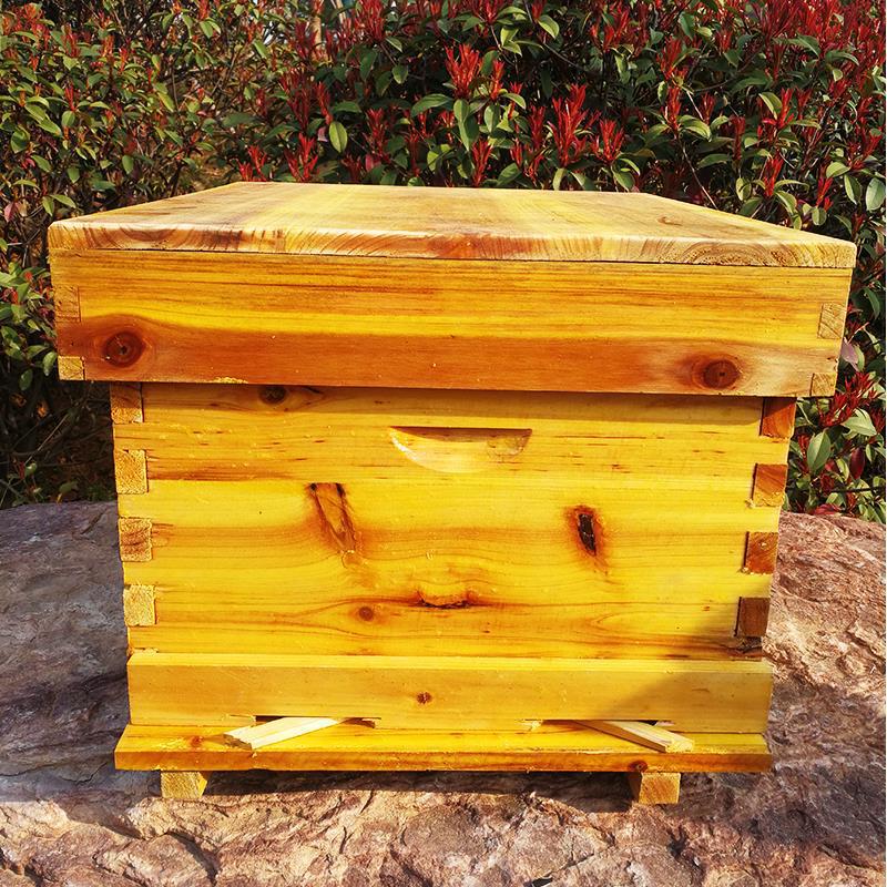 ชุดอุปกรณ์เลี้ยงผึ้งครบชุด ผึ้ - Beehive Frame Wax บทวิจารณ์และราคา