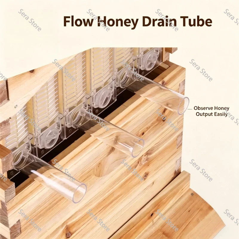 อุปกรณ์เลี้ยงผึ้ง กล่องรังผึ้ง - Beehive Frame Wax บทวิจารณ์และราคา