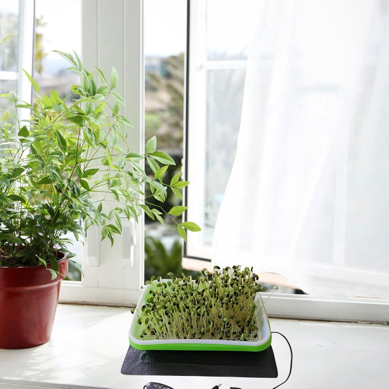 แผ่นทำความร้อนสำหรับเพาะเมล็ดแ - Seedling Heat Mat บทวิจารณ์และราคา